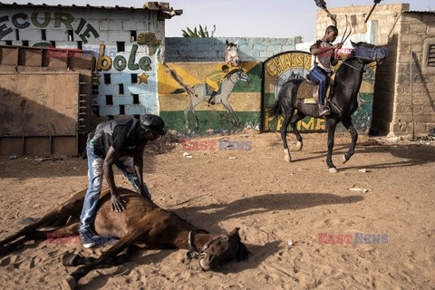 Tradycyjne wyścigi konne w Burkina Faso - AFP