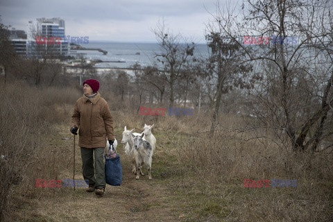 Wojna w Ukrainie - inne miasta