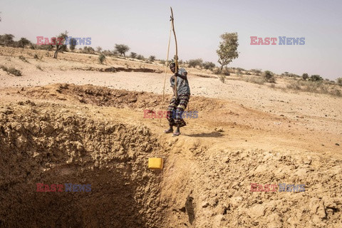 Susza w Senegalu - AFP