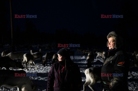 Hodowla reniferów w Laponii - AFP