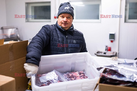 Hodowla reniferów w Laponii - AFP