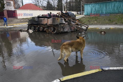 Wojna w Ukrainie - masakra cywilów w Buczy