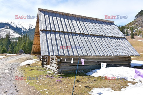 Polskie Tatry Albin Marciniak