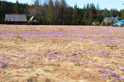 Polskie Tatry Albin Marciniak