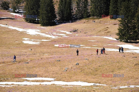 Polskie Tatry Albin Marciniak