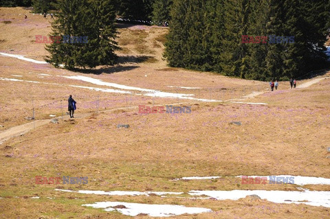 Polskie Tatry Albin Marciniak