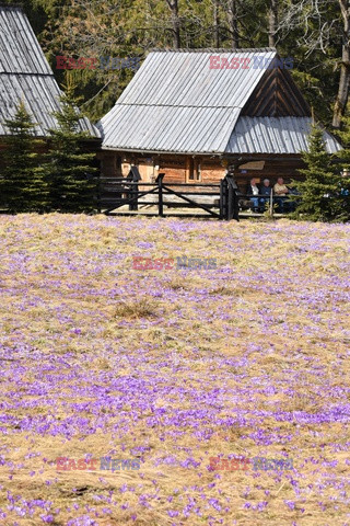 Polskie Tatry Albin Marciniak