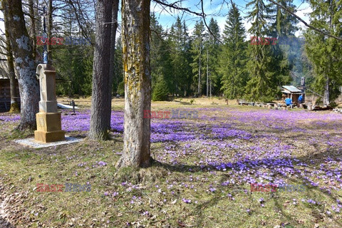 Polskie Tatry Albin Marciniak