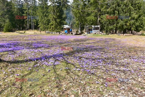 Polskie Tatry Albin Marciniak