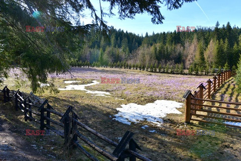 Polskie Tatry Albin Marciniak