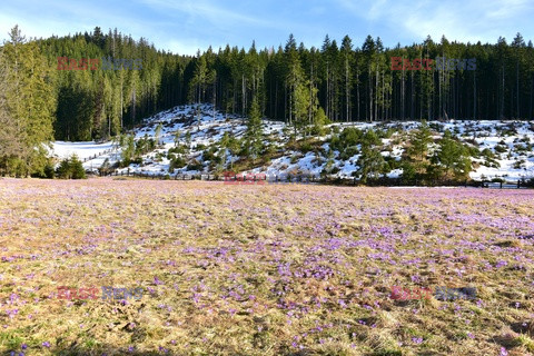 Polskie Tatry Albin Marciniak