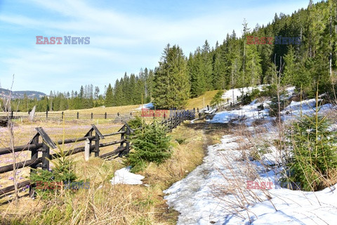 Polskie Tatry Albin Marciniak