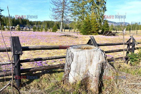 Polskie Tatry Albin Marciniak