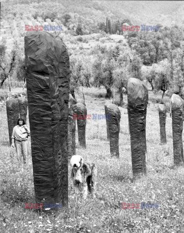 Magdalena Abakanowicz i jej rzeźby