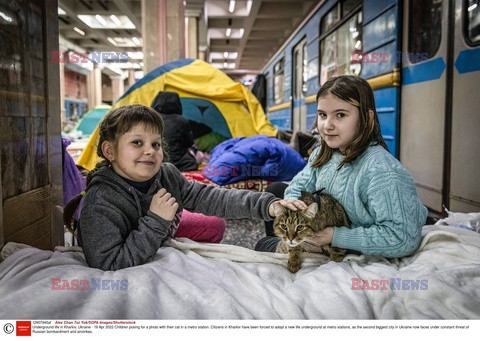 Wojna w Ukrainie - sytuacja ludności cywilnej