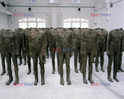 Magdalena Abakanowicz i jej rzeźby