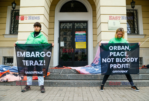 Akcja Greenpeace przed amasadą Węgier