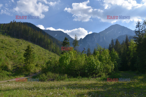 Tatry Słowackie Albin Marciniak