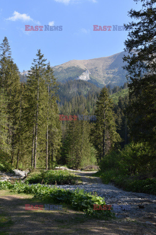 Tatry Słowackie Albin Marciniak