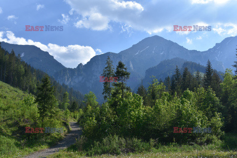 Tatry Słowackie Albin Marciniak