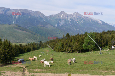 Tatry Słowackie Albin Marciniak