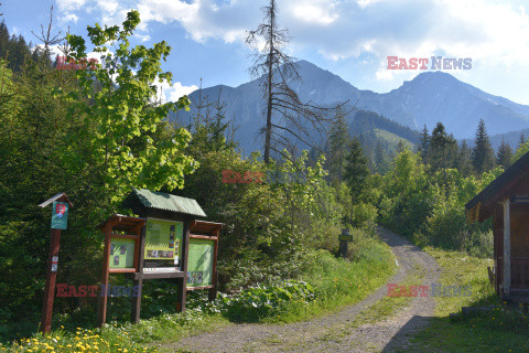 Tatry Słowackie Albin Marciniak