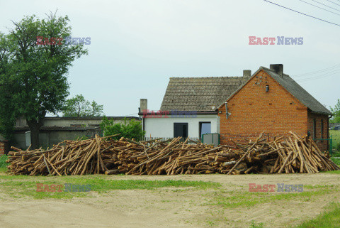 Wielkopolska Marek Bazak