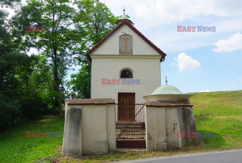 Wielkopolska Marek Bazak