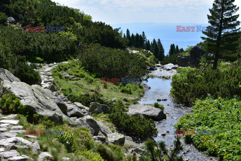 Tatry Słowackie Albin Marciniak