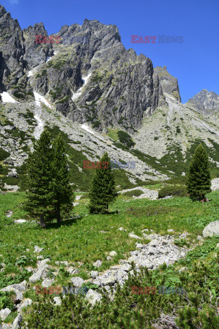 Tatry Słowackie Albin Marciniak