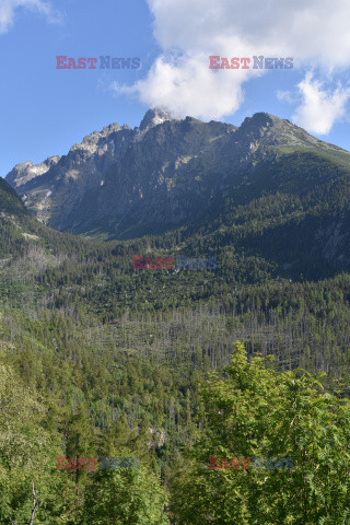 Tatry Słowackie Albin Marciniak