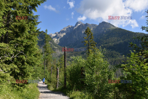 Tatry Słowackie Albin Marciniak