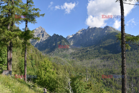 Tatry Słowackie Albin Marciniak