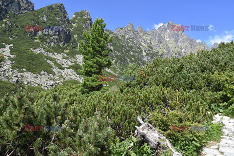 Tatry Słowackie Albin Marciniak