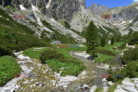 Tatry Słowackie Albin Marciniak