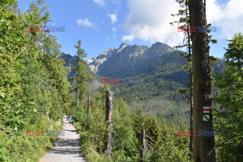 Tatry Słowackie Albin Marciniak