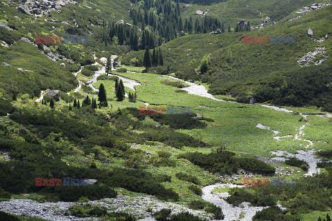 Tatry Słowackie Albin Marciniak