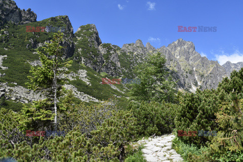 Tatry Słowackie Albin Marciniak