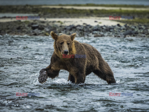 Design Pics/Alaska Stock Images