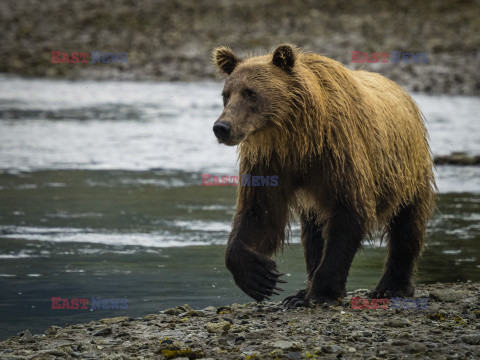 Design Pics/Alaska Stock Images