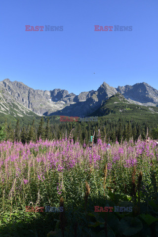 Polskie Tatry Albin Marciniak