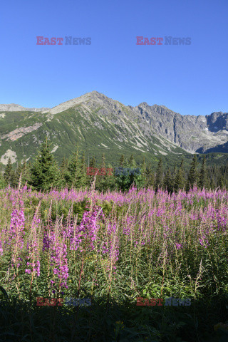 Polskie Tatry Albin Marciniak