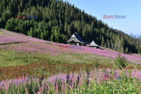 Polskie Tatry Albin Marciniak