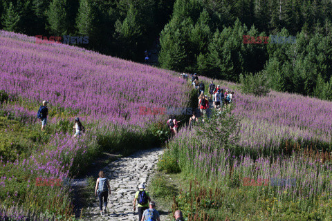 Polskie Tatry Albin Marciniak