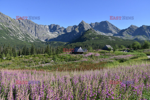 Polskie Tatry Albin Marciniak