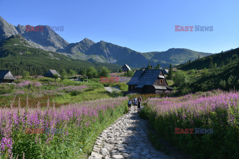 Polskie Tatry Albin Marciniak