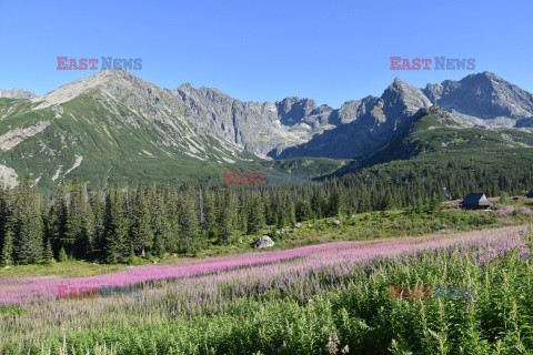 Polskie Tatry Albin Marciniak