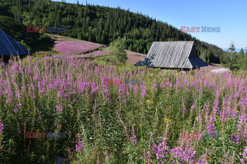 Polskie Tatry Albin Marciniak