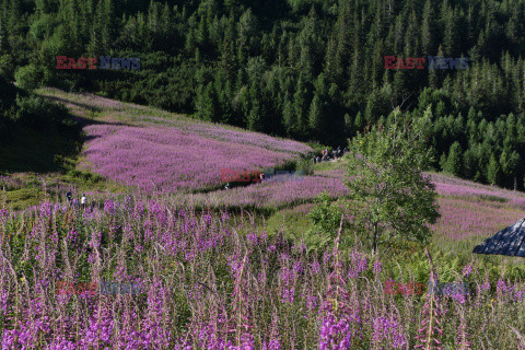 Polskie Tatry Albin Marciniak