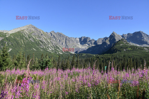 Polskie Tatry Albin Marciniak